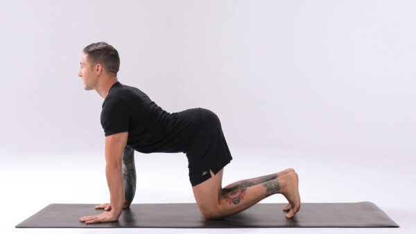 Yoga Poses for Spinal Flexibility